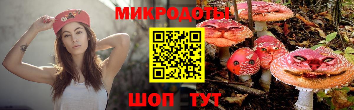 Псилоцибиновые грибы Magic Shrooms Губкин
